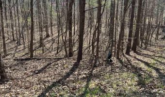 SPRINGHOLLOW ROAD lot 11, Ashville, AL 35953