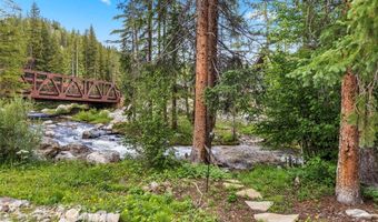 315 RIVER PARK Dr, Breckenridge, CO 80424