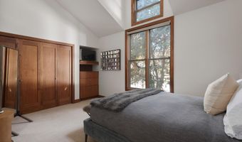 602 W Hallam St, Aspen, CO 81611