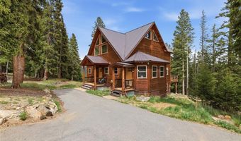 62 Lazy Rex Rd, Alma, CO 80440