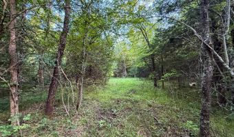 Tract 8 Highway 70, Bennington, OK 74723