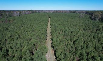 57 40 Acres-TBD Cades Rd, Cades, SC 29518