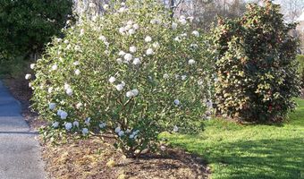 106 CREEKSIDE Dr, Dagsboro, DE 19939