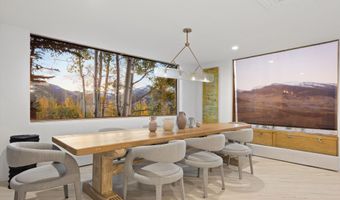 699 Eppley Dr, Aspen, CO 81611