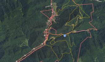 2789 Dry Fork Rd, Bandy, VA 24602