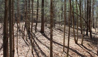 Walker's Mountain Road, Arrington, VA 22922