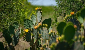 Fm-735, Alice, TX 78332