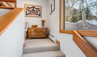 326 W Hopkins Ave, Aspen, CO 81611