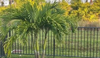 5725 Cassidy, Ave Maria, FL 34142