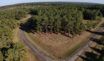 Lot 8 Mountain View Way, Bainbridge, GA 39819