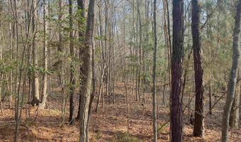 521 Mount Valley Rd, Blythewood, SC 29016