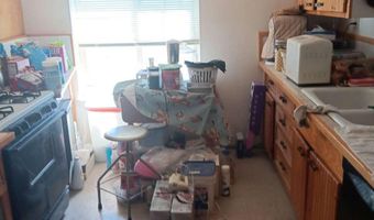 1 Iron Mine Rd, Carlin, NV 89822