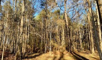 TBD Bogue Chitto Road SW, Bogue Chitto, MS 39629