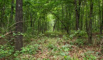 3899 County Road 304, Alton, MO 65606