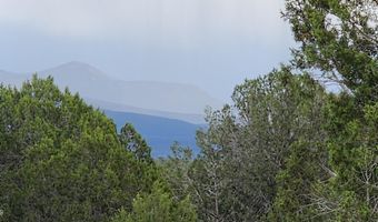97 C Rattlesnake, Ash Fork, AZ 86320
