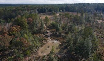 0 Progress Road Rd, Beaumont, MS 39423