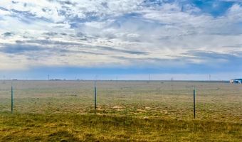 54 Farms, Abernathy, TX 79311