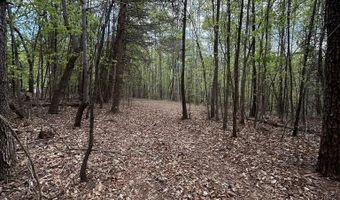 Mockingbird Ln, Bassett, VA 24055