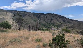 439 Redtail Ridge Way, Bellvue, CO 80512