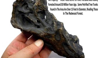 unspecified, Gerlach, NV 89412