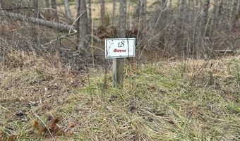 99999 Mountain Crest Dr, Bakersville, NC 28705