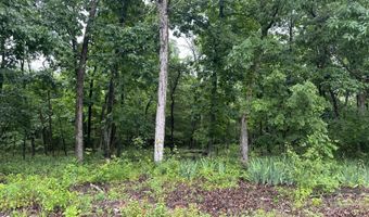 18611 Farm Road 2107, Aurora, MO 65605