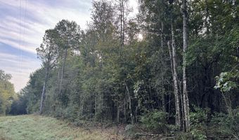 741 SE Hughs Hill Ln, Brookhaven, MS 39601