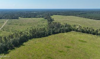 38774 S Mccarrol Rd, Amite, LA 70422