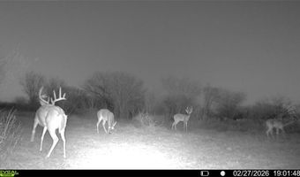CR 119 lot 0, Alice, TX 78332