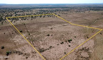 Tbd Wicked Sisters Way 38ac, Concho, AZ 85924