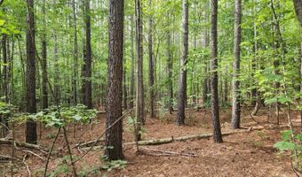 0- Lot 2-2 Red House Rd, Appomattox, VA 24522