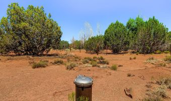 4 N County Road 5501, Concho, AZ 85924