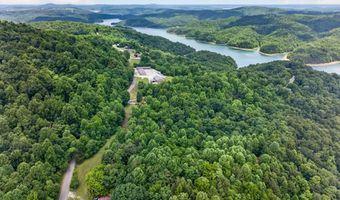 802 Livingston Boat Dock Rd, Allons, TN 38541