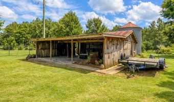 4437 Nicklesville Rd, Arlington, GA 39813