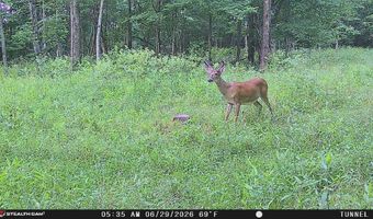 1271 A Tunnel Ridge Rd, Argillite, KY 41121