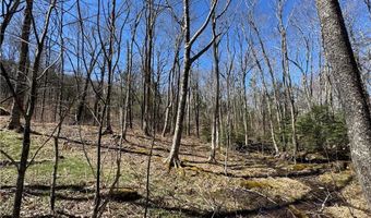 ES71 Twisted Oak Path, Banner Elk, NC 28604