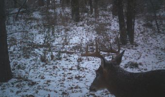 8752 HWY A, Almond, WI 54909