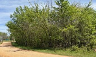 105 106 TOWBOAT Ln Lot 105 106, Adamsville, TN 38310