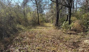 000 Mt Pleasant Ln SE, Bogue Chitto, MS 39629