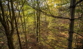 74521 Lively Ridge Rd, Albany, OH 45710