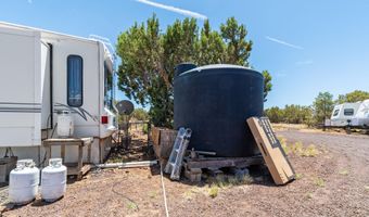105 County Road 8055, Concho, AZ 85924