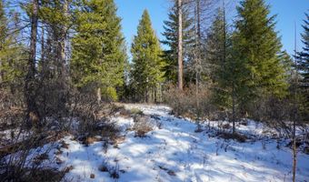 NNA Holmes Rd, Bonners Ferry, ID 83805