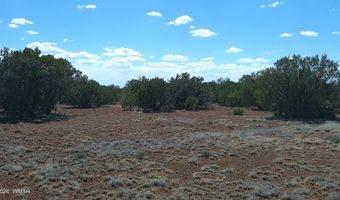 5 County Road 8077, Concho, AZ 85924