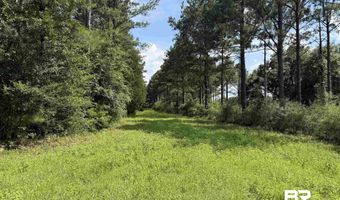 154 Perry Ln, Atmore, AL 36502