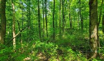 21 Nickerson Rd, Brandon, VT 05733