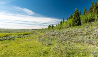 Tbd CARROLL Lane, Daniel, WY 83115