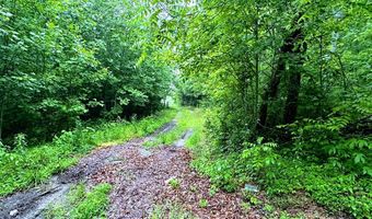 13 44 Ac Chestnut Ridge Rd, Allardt, TN 38504