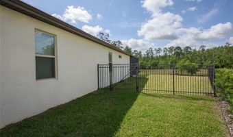 17464 BUTTERFLY PEA Ct, Clermont, FL 34714