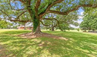 14002 S Guegnon St, Abbeville, LA 70510