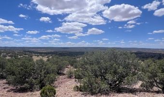 41 Indian Drive CR 8062, Concho, AZ 85924